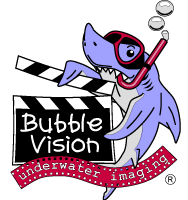 bubble_vision_logo_big